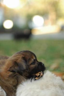 Oct6a_04_686.JPG