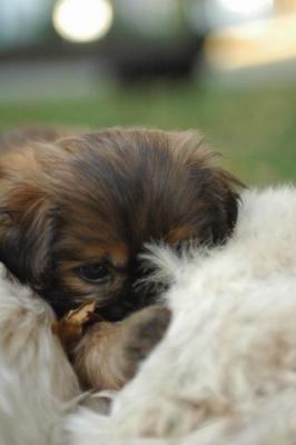 Oct6a_04_690.JPG