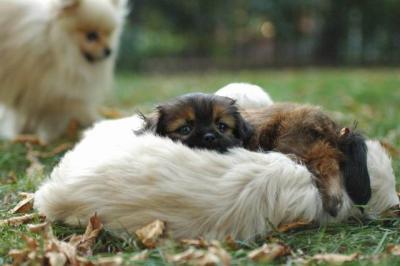 Oct6b_04_001.JPG