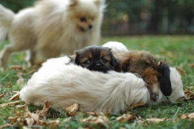 Oct6b_04_002.JPG