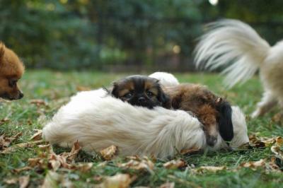Oct6b_04_003.JPG