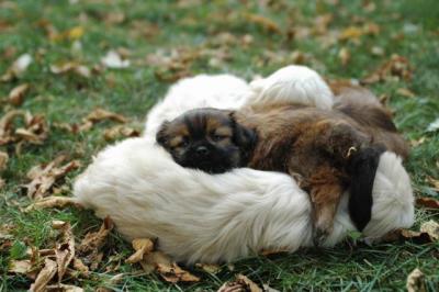 Oct6b_04_030.JPG