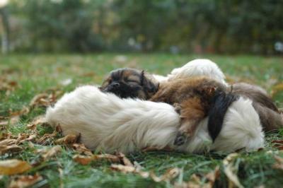 Oct6b_04_038.JPG