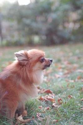 Oct6b_04_050.JPG