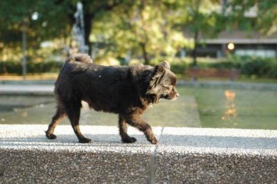 Oct6b_04_057.JPG