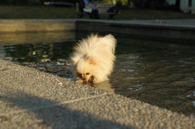 Oct6b_04_062.JPG