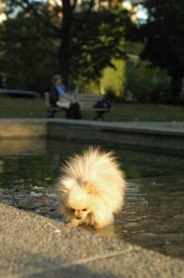 Oct6b_04_067.JPG