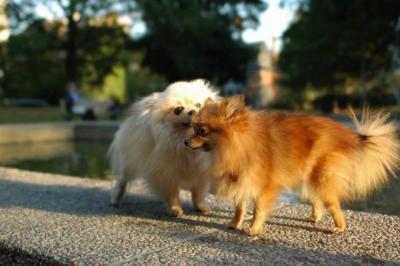 Oct6b_04_076.JPG