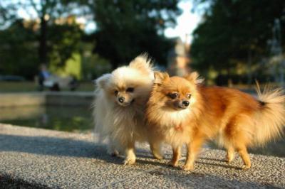 Oct6b_04_078.JPG