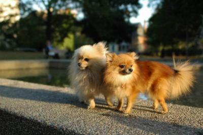 Oct6b_04_081.JPG