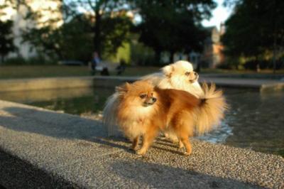 Oct6b_04_089.JPG