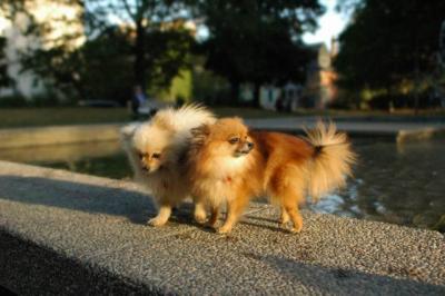 Oct6b_04_096.JPG