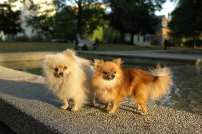 Oct6b_04_102.JPG