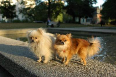 Oct6b_04_104.JPG
