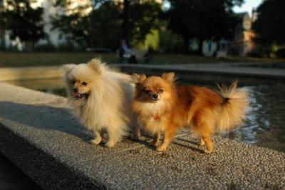 Oct6b_04_107.JPG