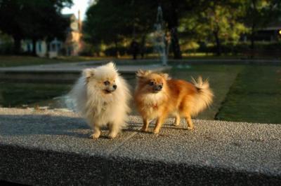 Oct6b_04_129.JPG