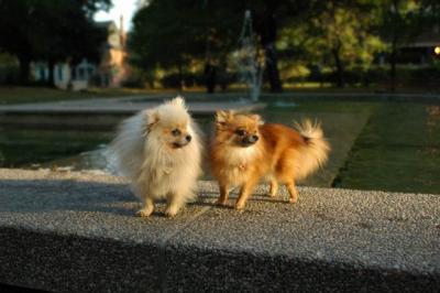 Oct6b_04_130.JPG