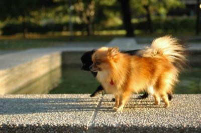 Oct6b_04_145.JPG