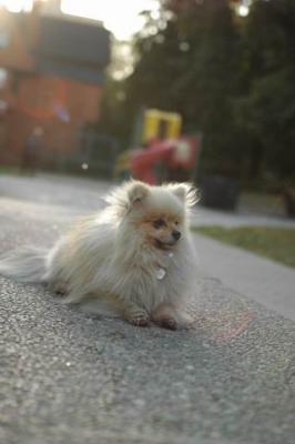 Oct6b_04_156.JPG