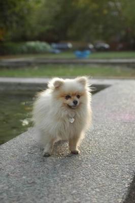 Oct6b_04_159.JPG