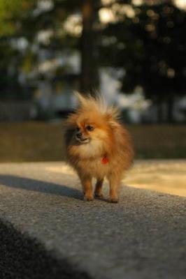 Oct6b_04_170.JPG