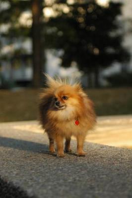Oct6b_04_173.JPG