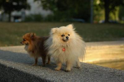 Oct6b_04_204.JPG