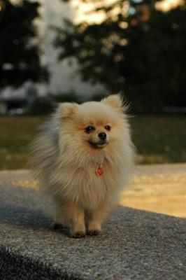 Oct6b_04_242.JPG