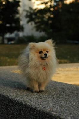 Oct6b_04_243.JPG