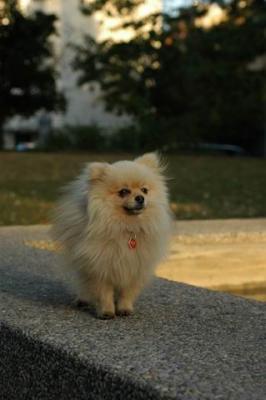 Oct6b_04_244.JPG