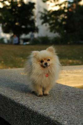 Oct6b_04_248.JPG