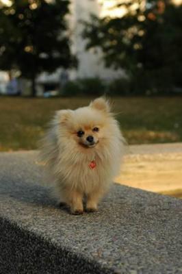 Oct6b_04_249.JPG