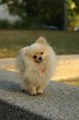 Oct6b_04_252.JPG