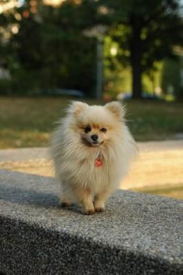 Oct6b_04_257.JPG