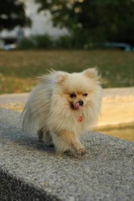 Oct6b_04_259.JPG
