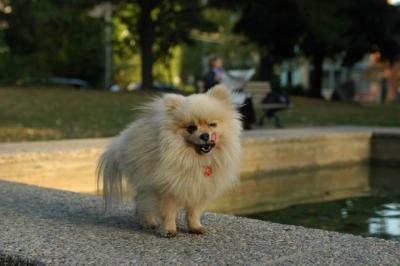 Oct6b_04_260.JPG