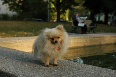 Oct6b_04_266.JPG
