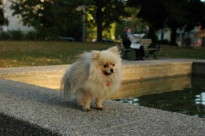 Oct6b_04_268.JPG