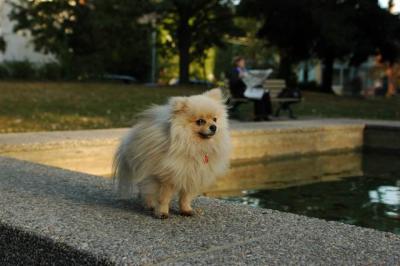 Oct6b_04_269.JPG