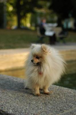 Oct6b_04_280.JPG