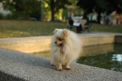Oct6b_04_281.JPG