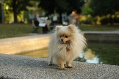 Oct6b_04_283.JPG