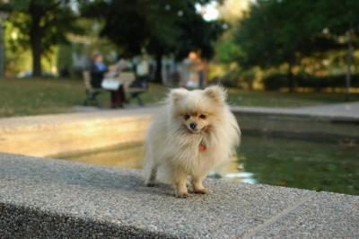 Oct6b_04_289.JPG