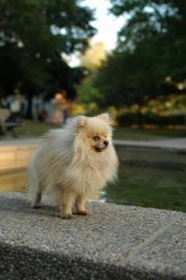 Oct6b_04_294.JPG