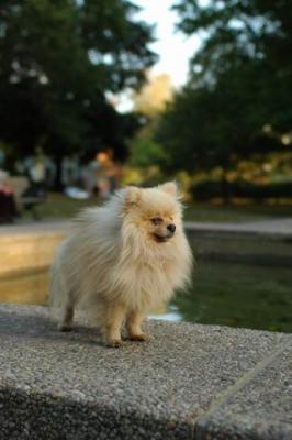 Oct6b_04_296.JPG