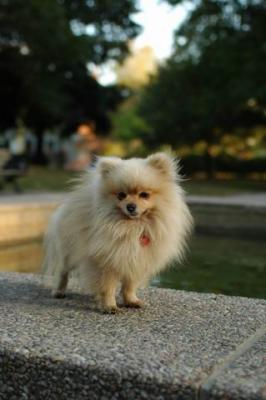 Oct6b_04_298.JPG