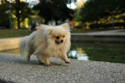 Oct6b_04_310.JPG