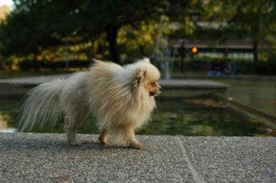 Oct6b_04_313.JPG