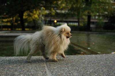Oct6b_04_315.JPG