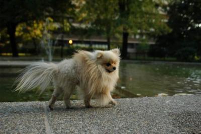 Oct6b_04_316.JPG